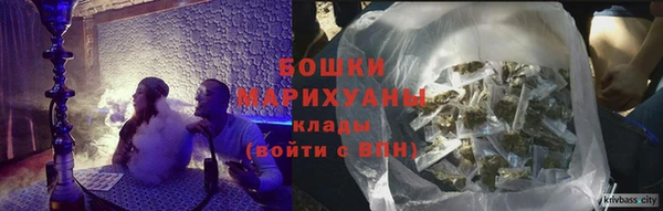 соль ск Лиски