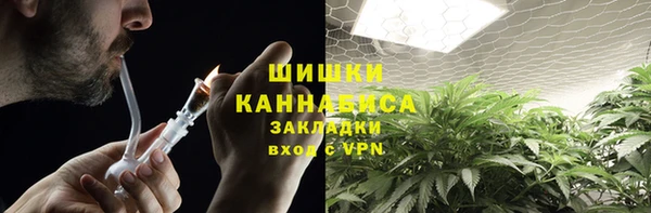 соль ск Лиски