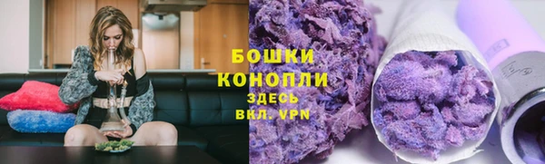 дживик Липки