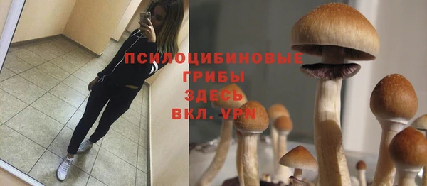 дживик Липки