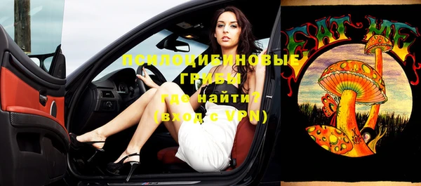дживик Липки