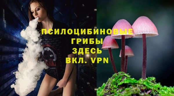 соль ск Лиски
